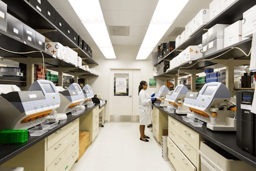 Research Support Service L