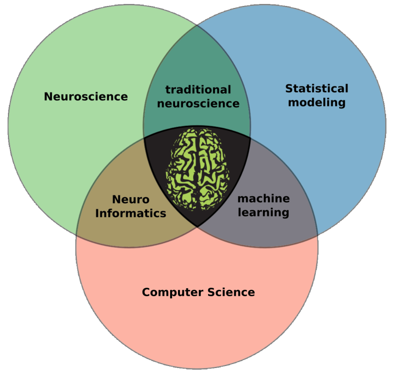 Github Mtl Brainhack School 2019 Eeg Connectivity Brainhack 2019 - Premium Nature Image Gallery - Mobile