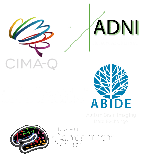 Github Mtl Brainhack School 2019 Eeg Connectivity Brainhack 2019 - Vintage Texture Collection - 8K Quality