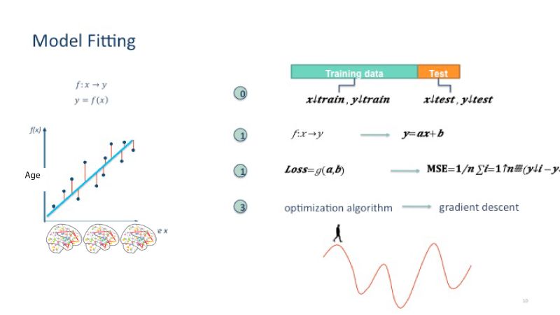 Machine Learning For Neuroimaging - Colorful Image Collection - High Resolution Quality