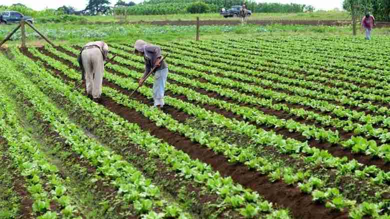 agric-lesson-note-for-jss1-third-term-2023