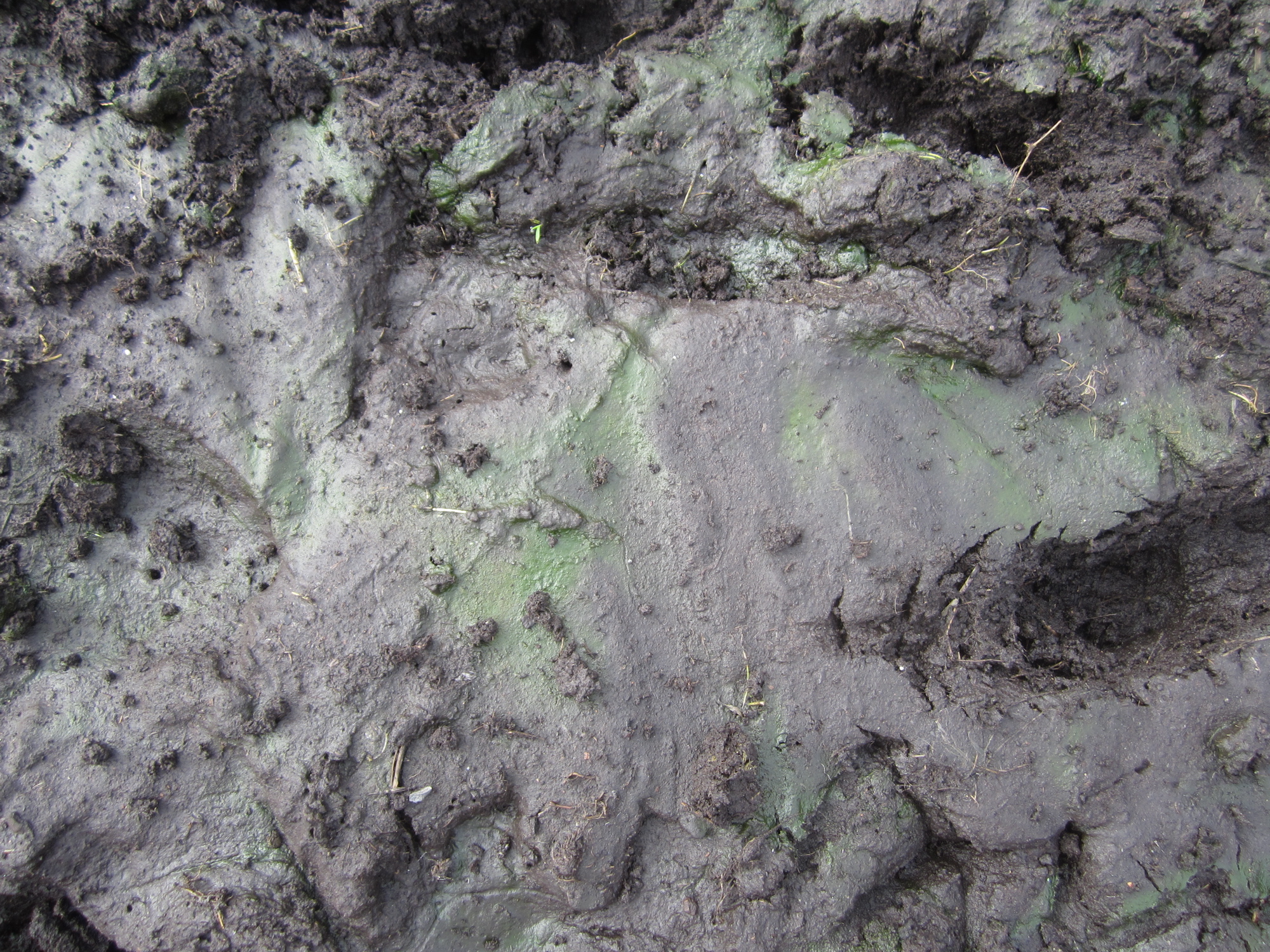 Fifty Shades of Mud | Schoonover Farm Blog