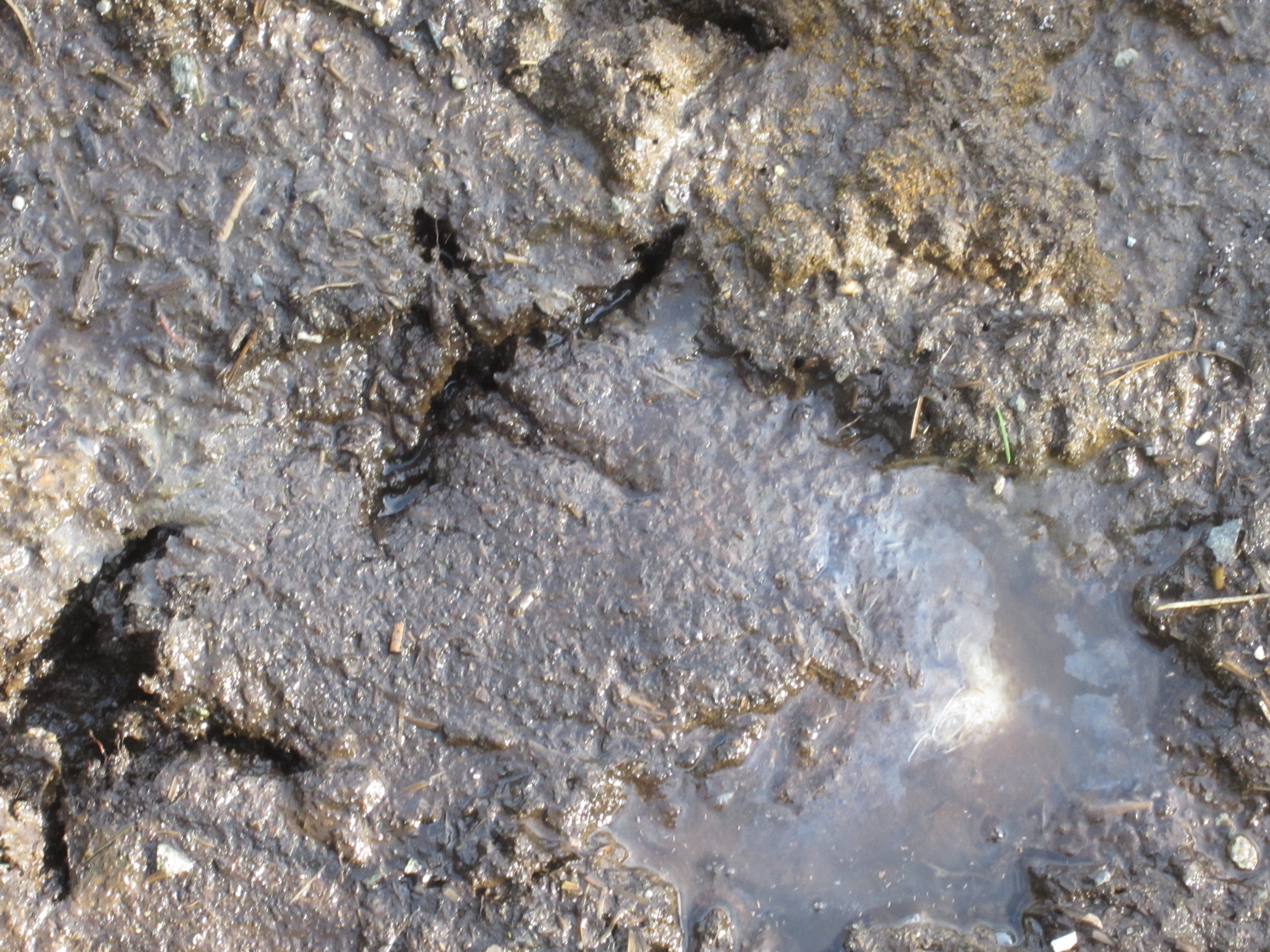 Fifty Shades of Mud | Schoonover Farm Blog