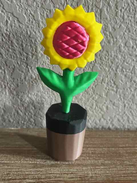 Flower with Pot
