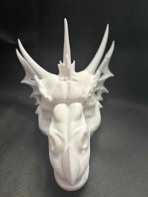 Dragon Head