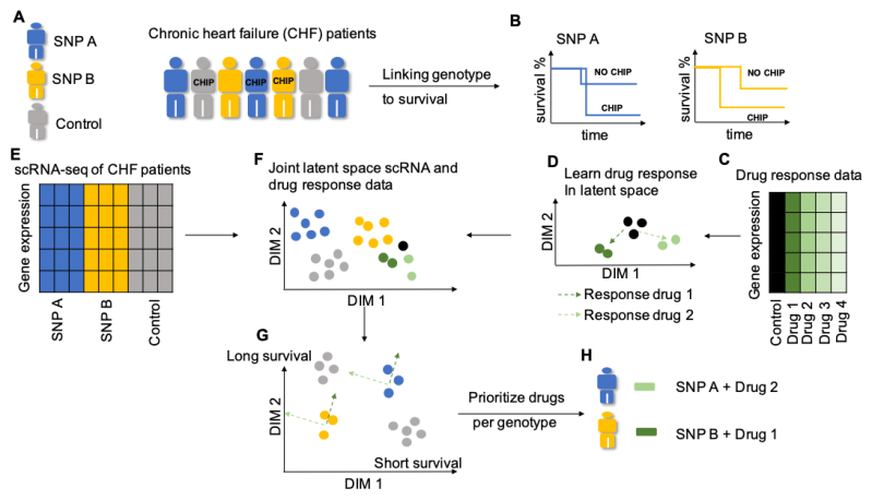 Stanford Precision Neurotherapeutics Lab Github - Vintage Textures - Gorgeous Retina Collection