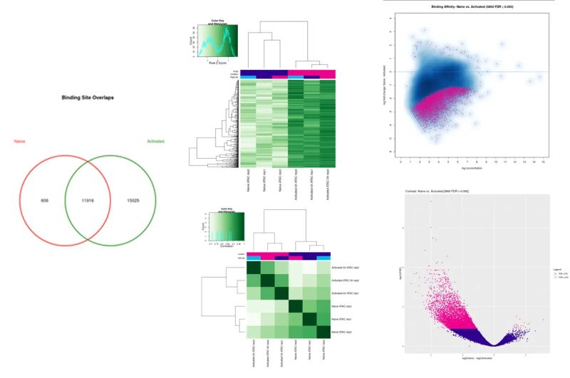 Github Mcnerneylab Atac Seq Analysis Tutorial - Stunning Retina City Wallpapers | Free Download