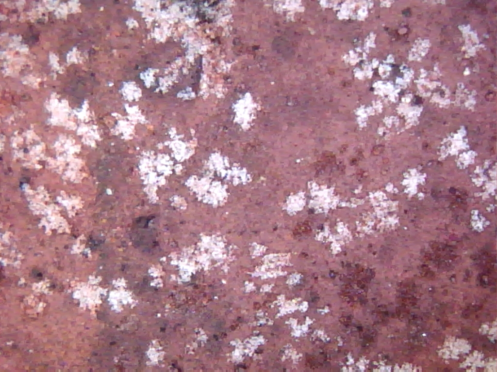 macrofotografia delle efflorescenze saline che caratterizzavano la superficie dell'affresco, con il tipico abito dei solfati