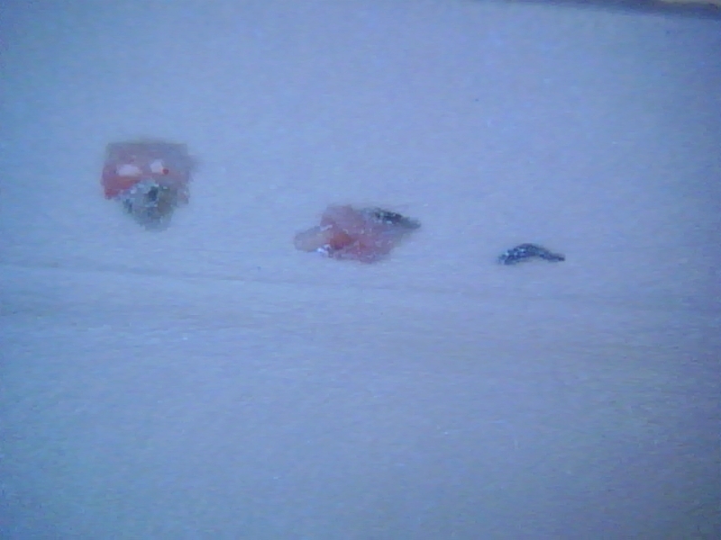 si vede la sovrapposizione di uno strato di terre verdi ad uno strato ad affresco rosa, principalmente composto di ematite. A indicare un cambio di cromia.