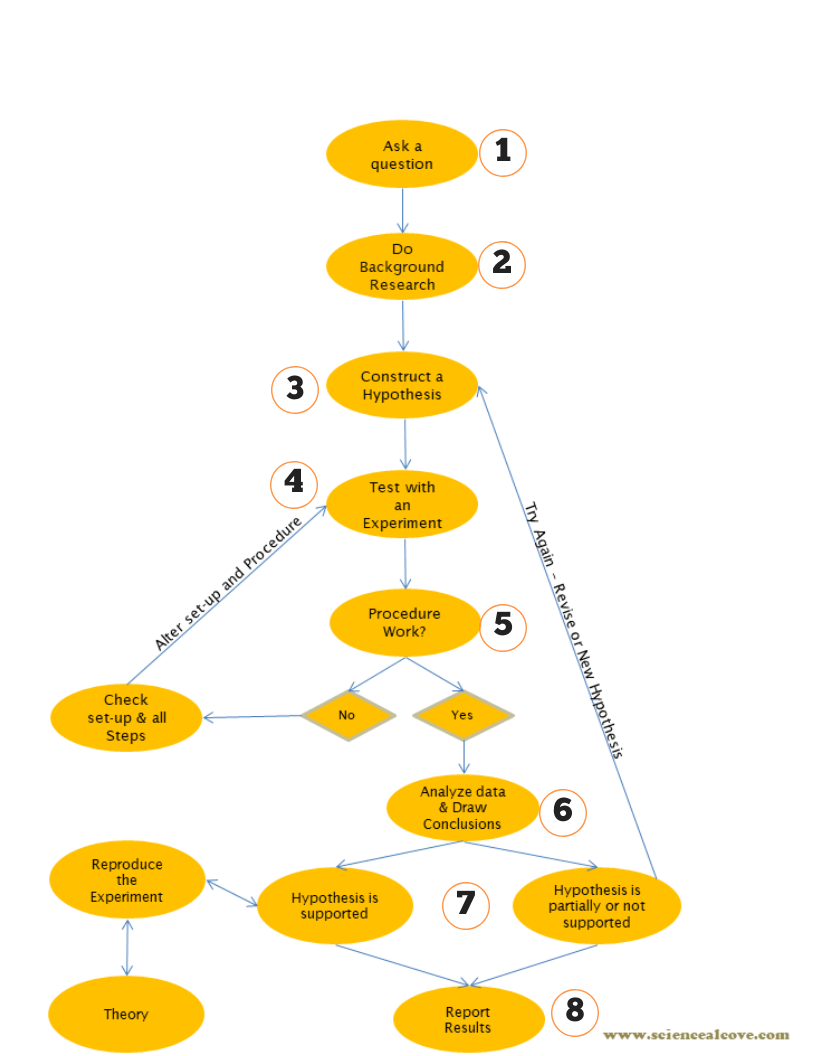 8 Steps of the Scientific Method You Need to Know