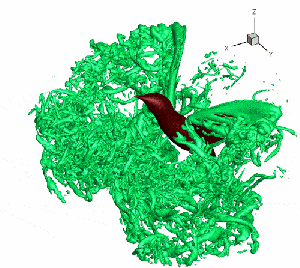 hummingbird motion slow flight reveal wings air stunning hummingbirds simulations help airborne around mesmerising unique fluid super secrets simulation hover