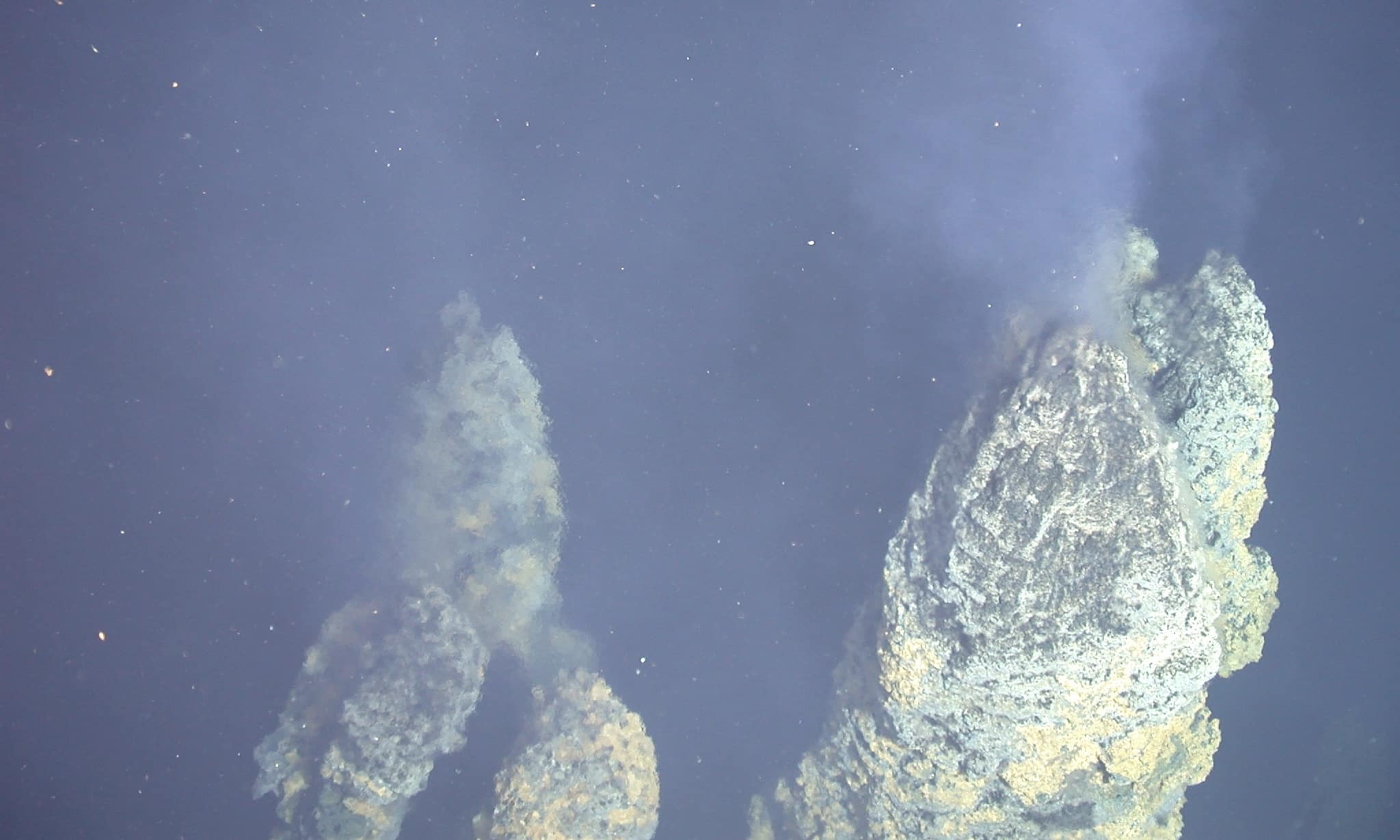 Two Origins of Life? New Study Challenges Universal Common Ancestry (2026)