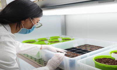 Transcriptional and epigenetic landscapes of abiotic stress response in plants