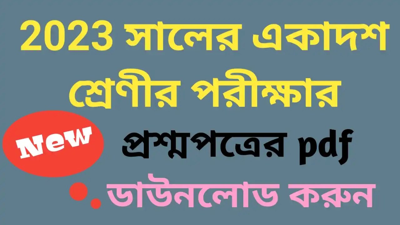 Class 11 Annual Exam 2023 Question paper