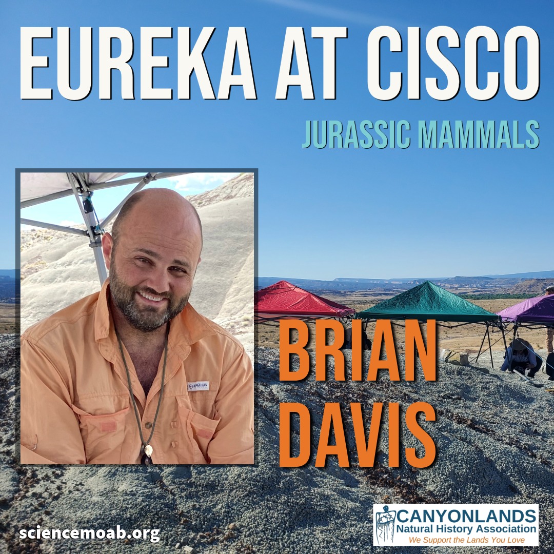 Eureka at Cisco