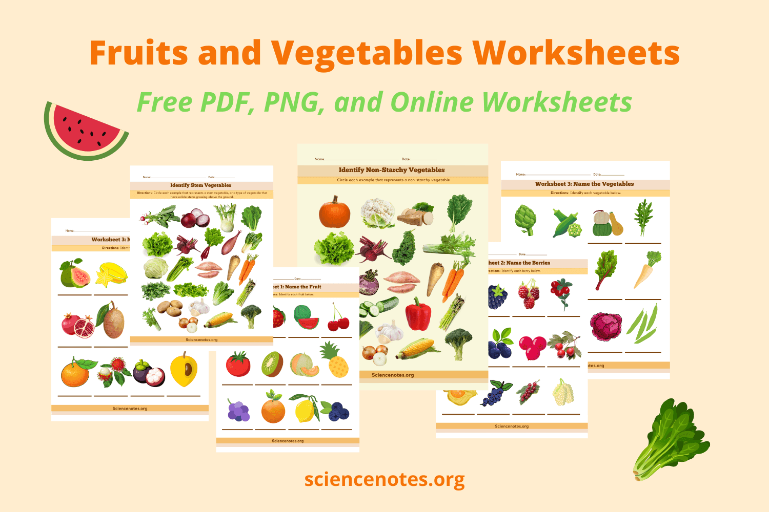 fruits and vegetables worksheets