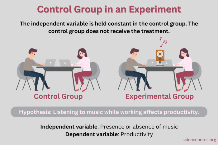 Group digital download