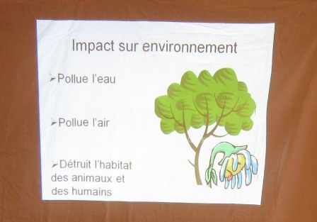 L’impact des déchets sur l’environnement | La science est partout!
