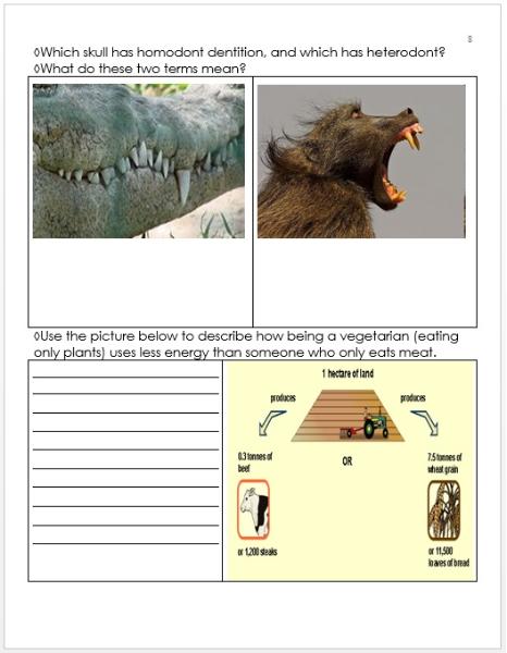 The next couple years will present you … Food Chain / Feeding Levels Unit PowerPoint / Lessons for Educators