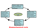 Biogeochemical Cycle Definition Types And Importance