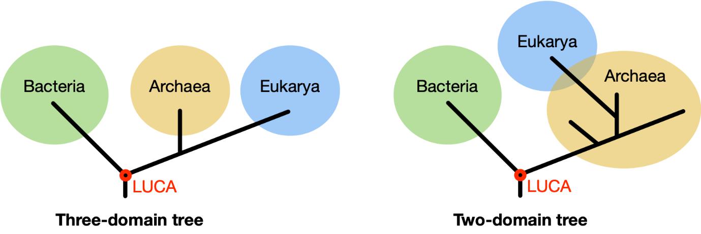 Automotive History Two Speed Automatics Vs Three Speed Manuals When 2 3 More Or Less Curbside Classic