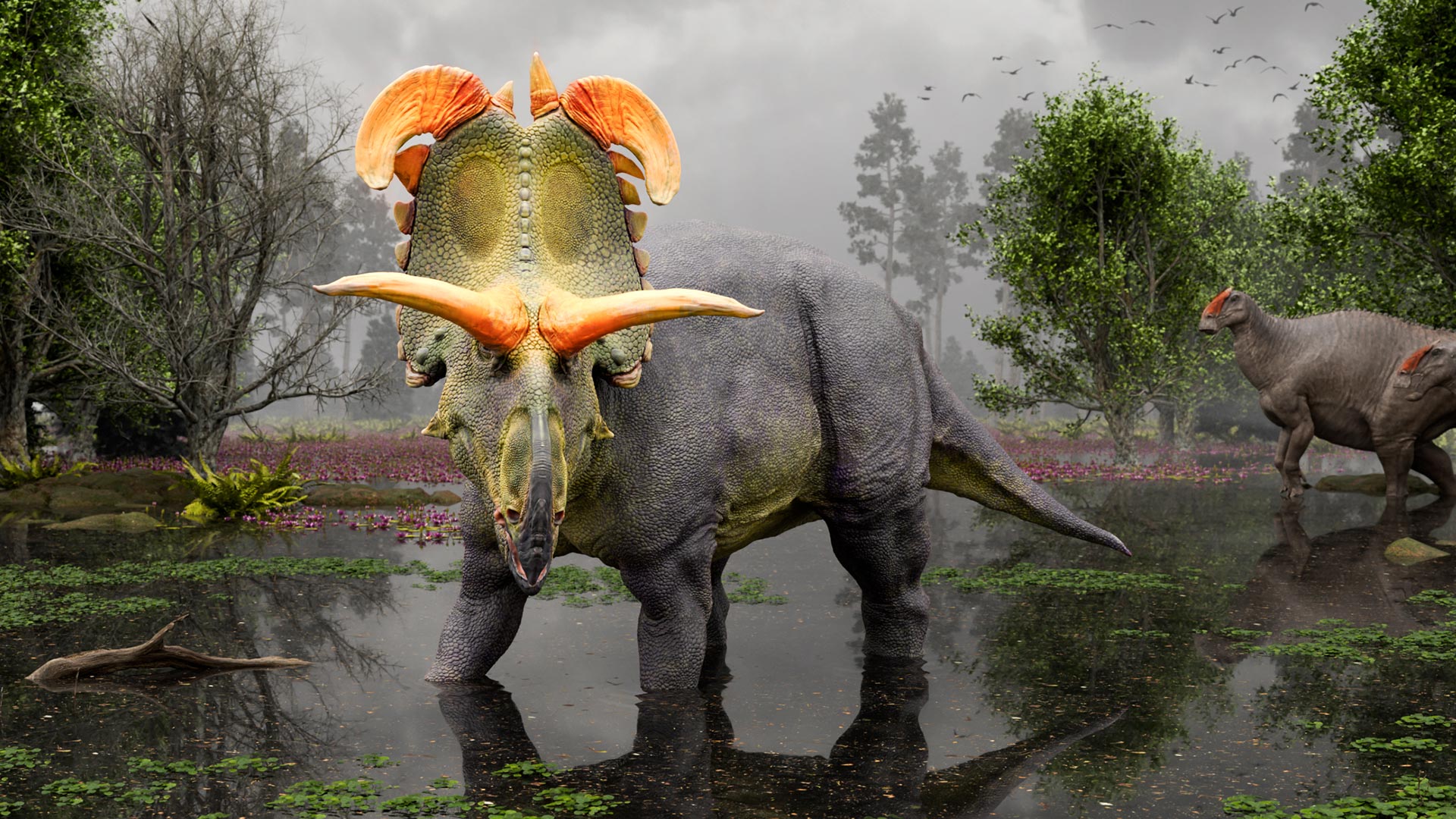 Discover: dinosaurs