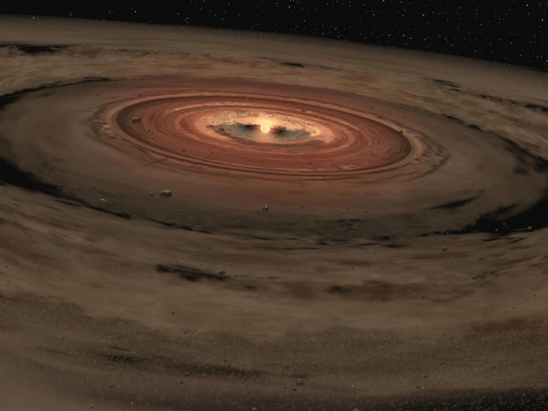 The Life and Death of Our Solar System: The Stardust Genesis