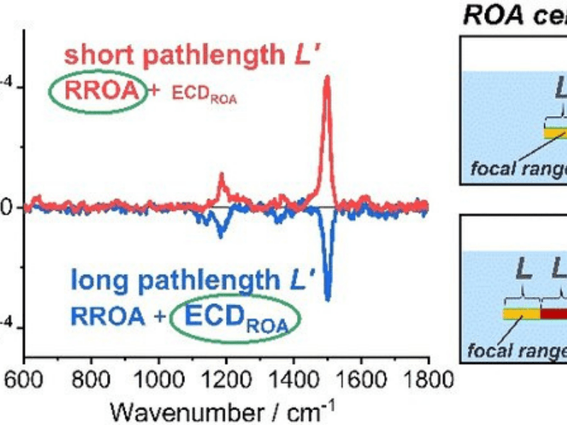 Interference Results in Inaccurate Raman Spectroscopic Analysis of Vitamin B12