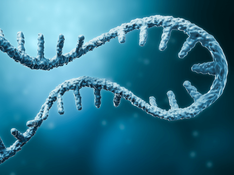 ‘Frameshifting’ Therapy for Pole Cell Cancers Minimizes Size and the Spread
