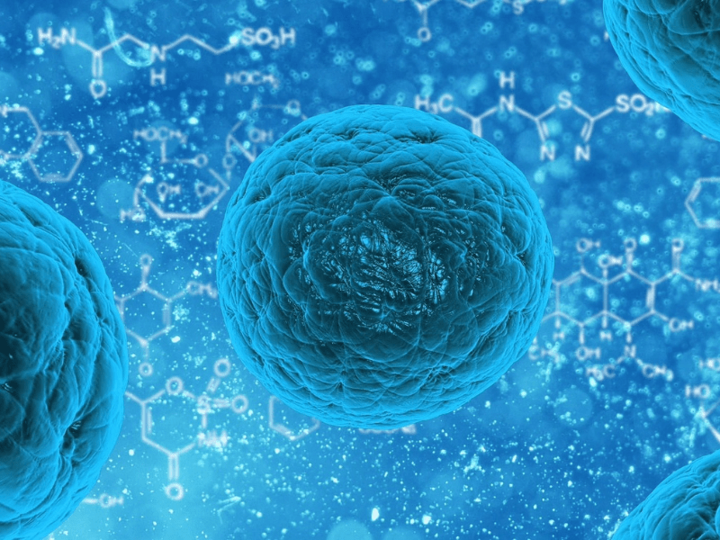 How do Cells Obtain Their Shapes? A new Mechanism Determined