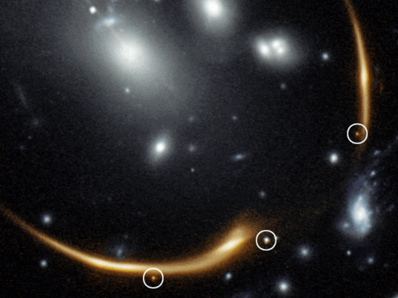 Supernova Requiem 2016