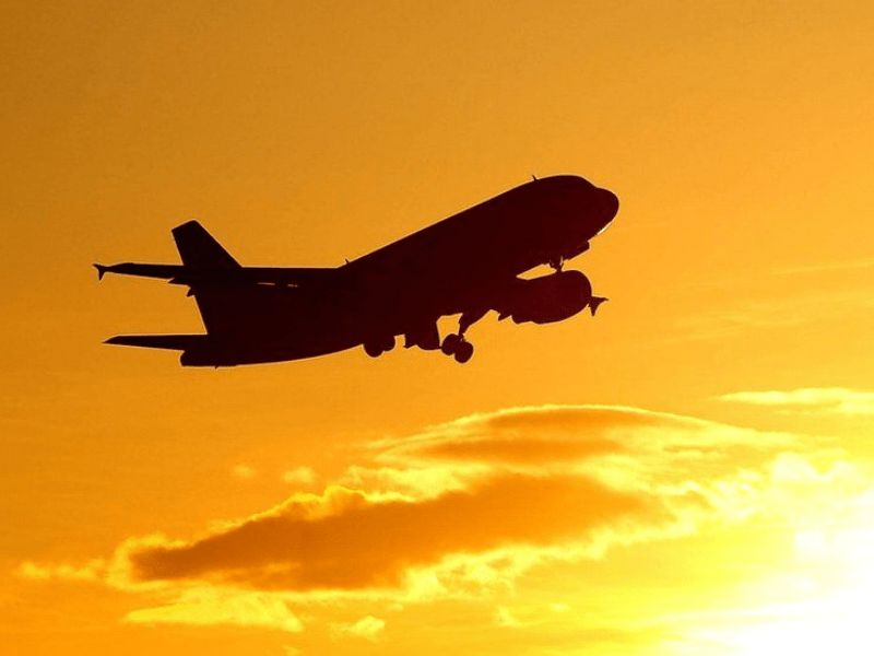 The Future of Aviation: Automation, Ancillaries and Client Satisfaction