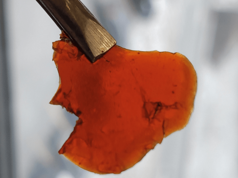 Plastrics May One Day Be Manufactured From fish Waste