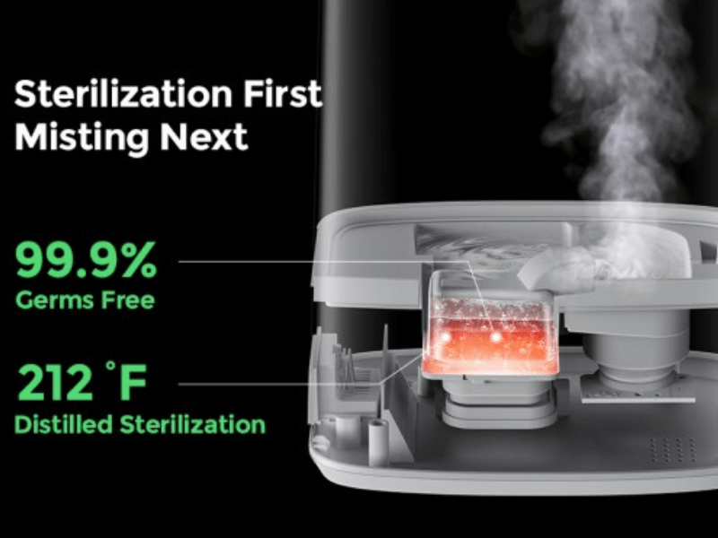 Homvana: 2022’s Best Smart Sterilization Humidifier?
