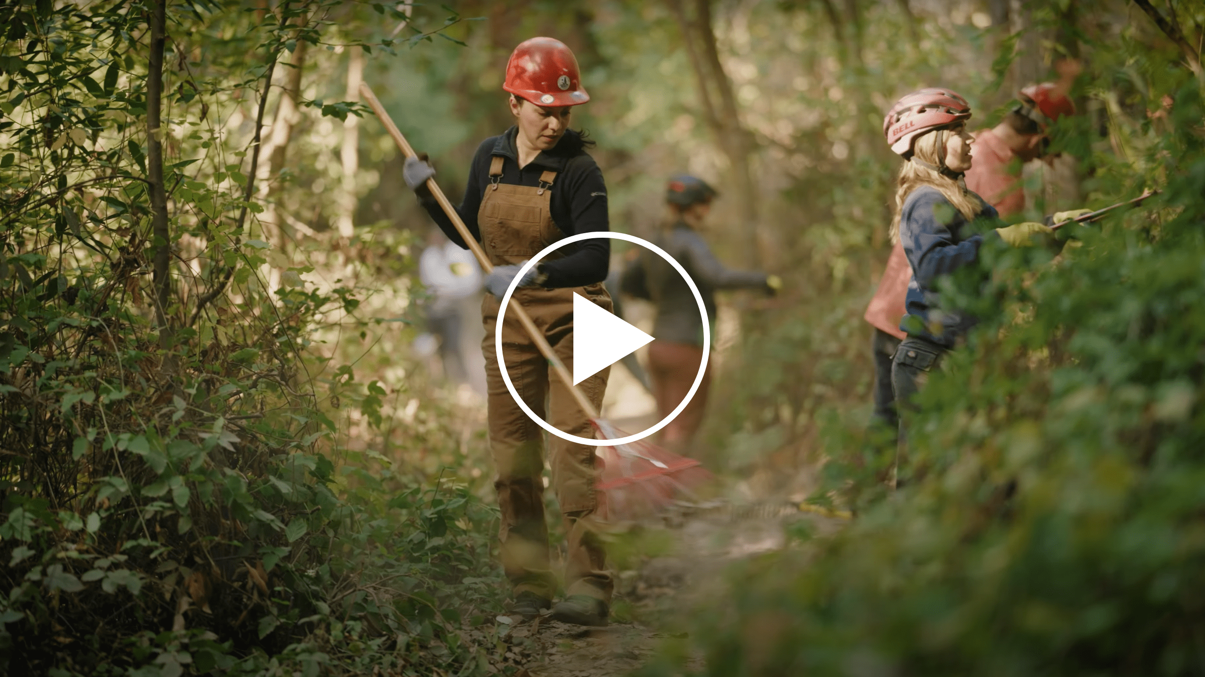 Watch Robert Morris Stewardship - Ocean Wallpaper Collection - Retina Quality