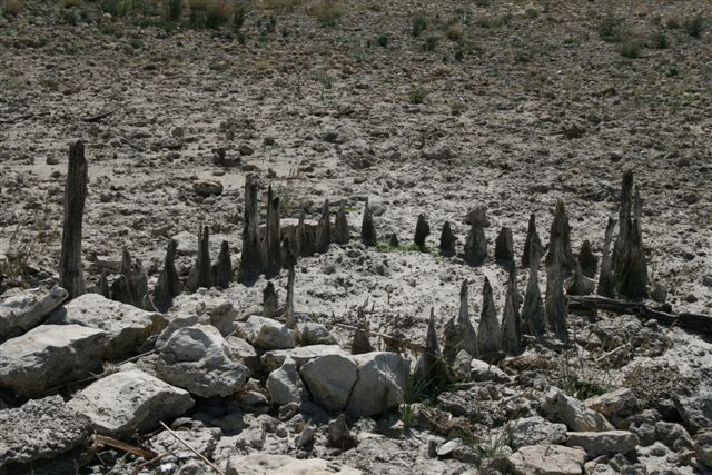 Aboriginal Fishtrap, Lake Alexandrina. Photo by Scott Heyes, March 2008