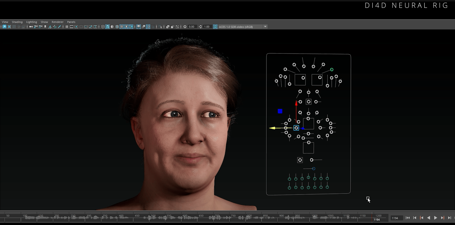 DI4D Neural Rigging Demo