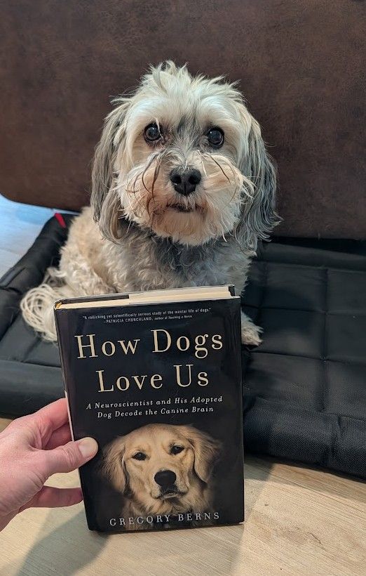 How Dogs Love us