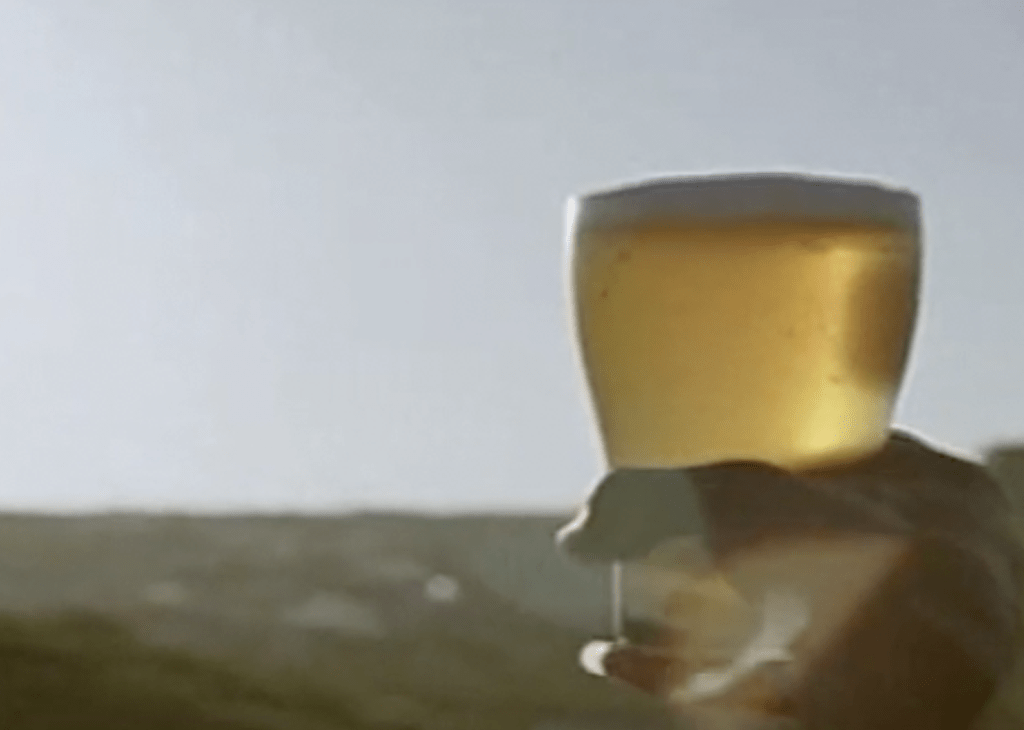 Tooheys Video Icon