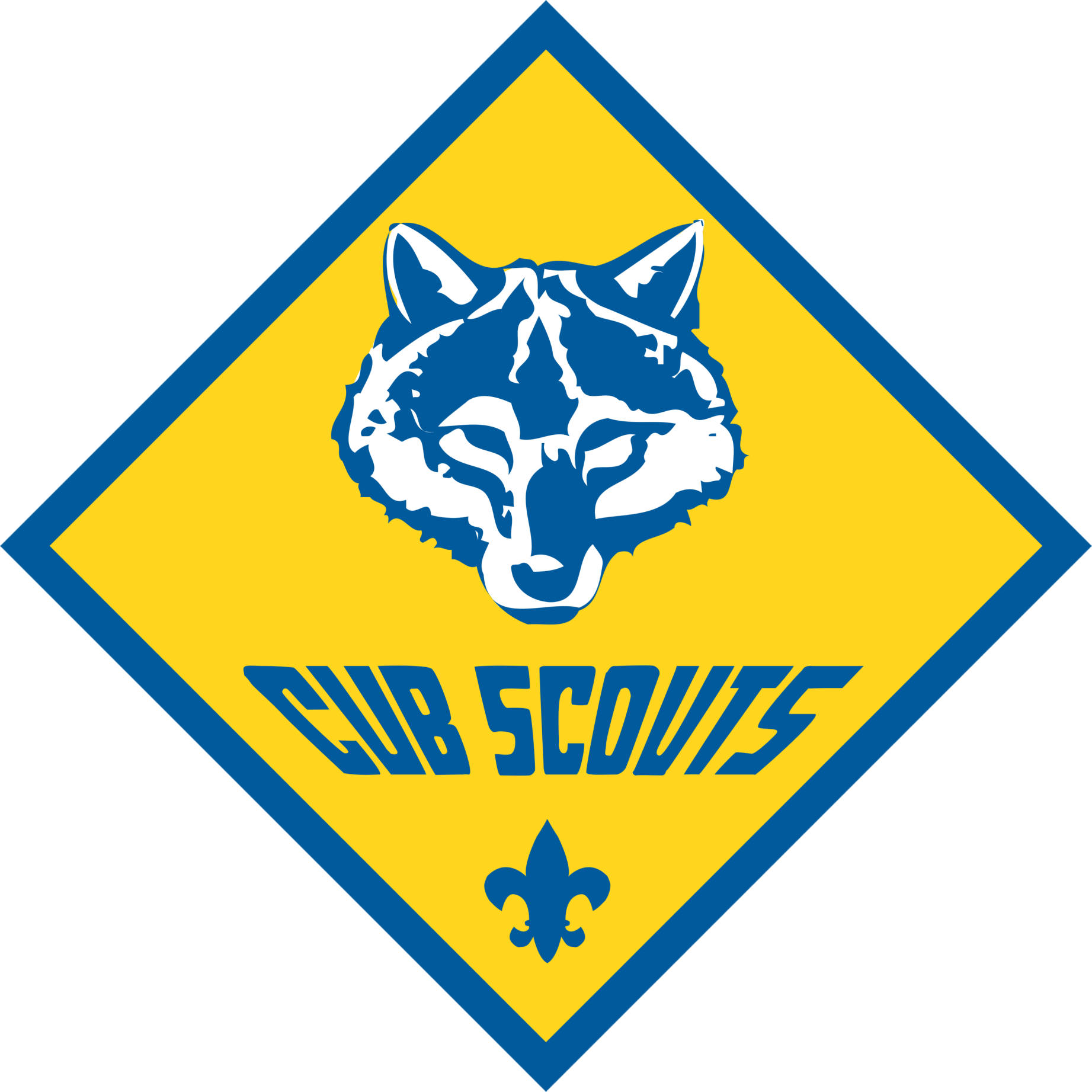 Cub Scouts