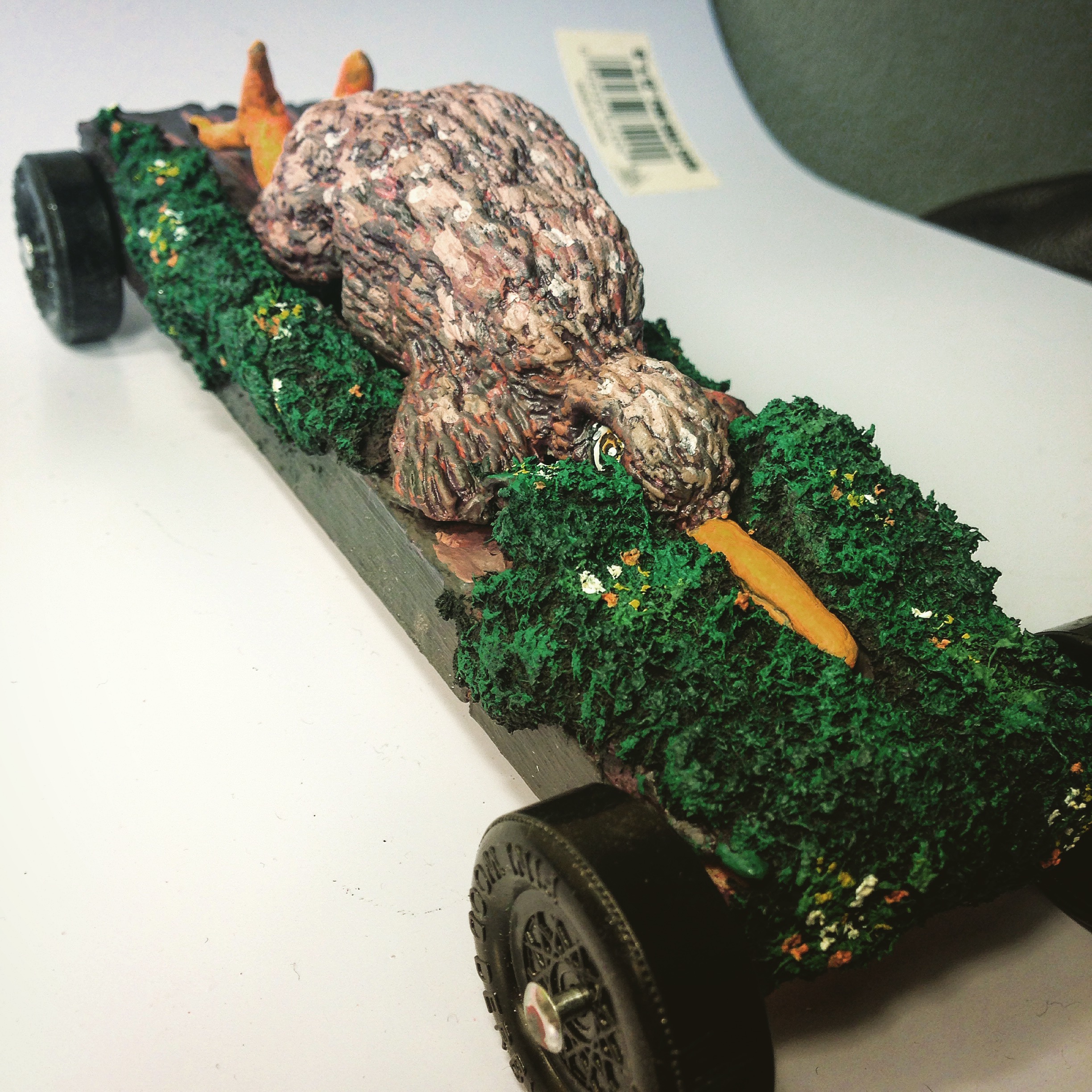 Kiwi Car