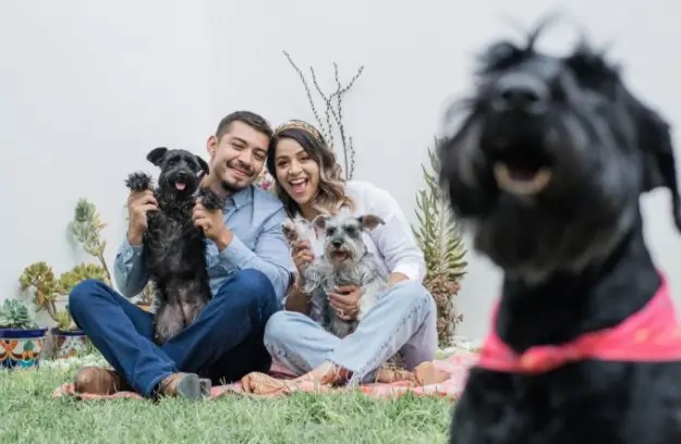 happy people in grass with dogs york and chester county sc