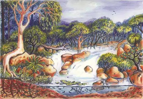 Biodiversity | Scrap Ltd 324_X_467_jpg