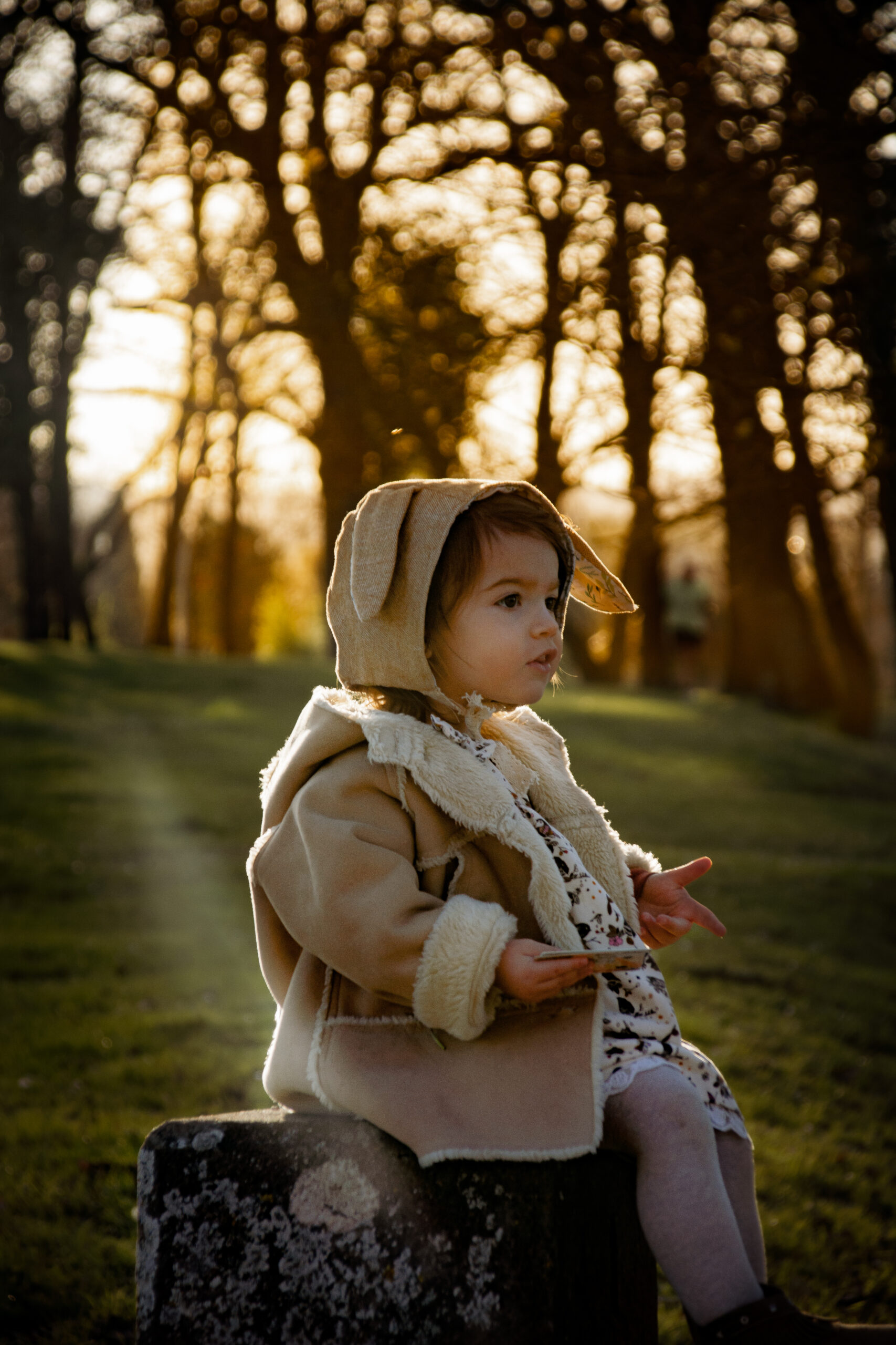 DSC_0816 (2).jpg