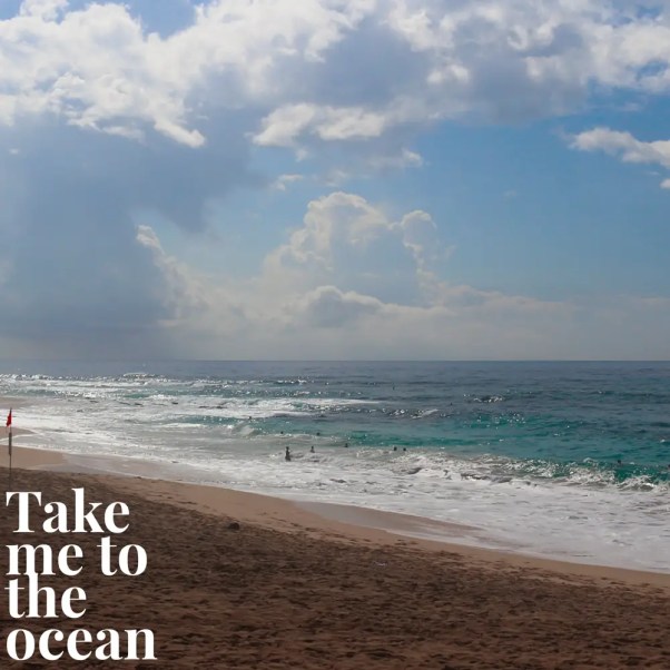 Take me to the ocean. Photo taken in Hawaii by Michele McGraw, Scrapsofmygeeklife.com