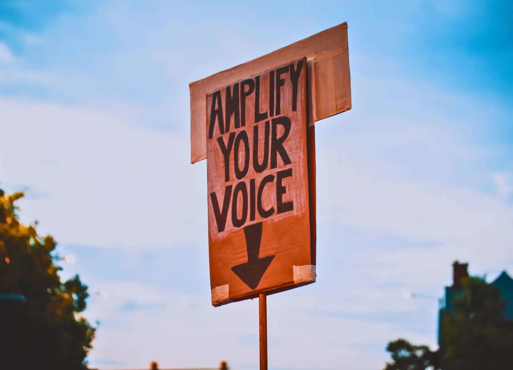 Guide to Protesting feature image of a sign that says "amplify your voice"