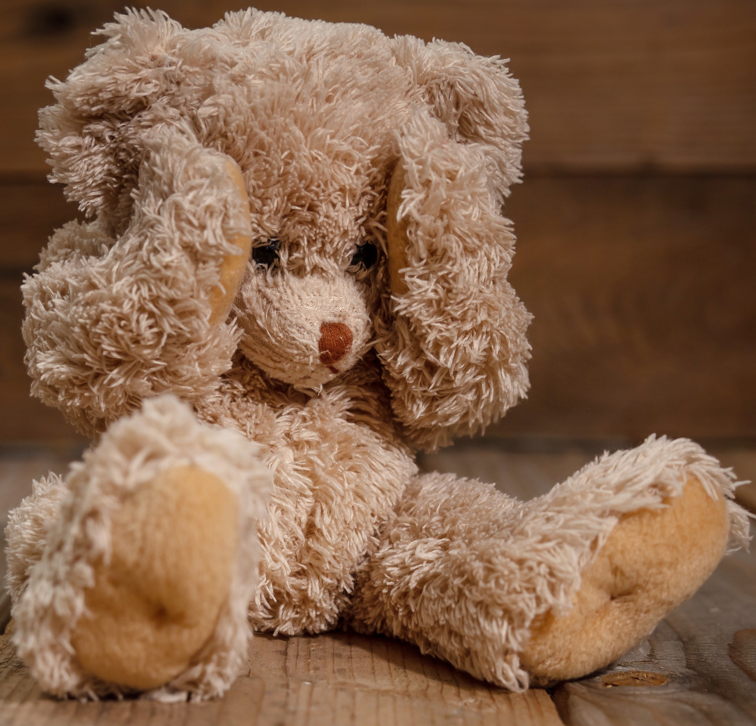 Child abuse.Teddy bear covering eyes, dark empty background, copy space By Rawf8