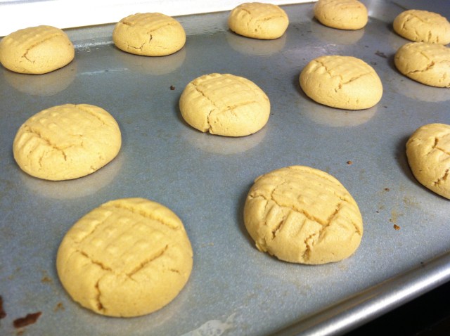 Mmm... Soft Peanut Butter Cookies!  Enjoy!!!