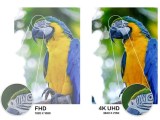 Hd Vs 2k Vs 4k Understanding Display Resolutions Screenresolutiontest