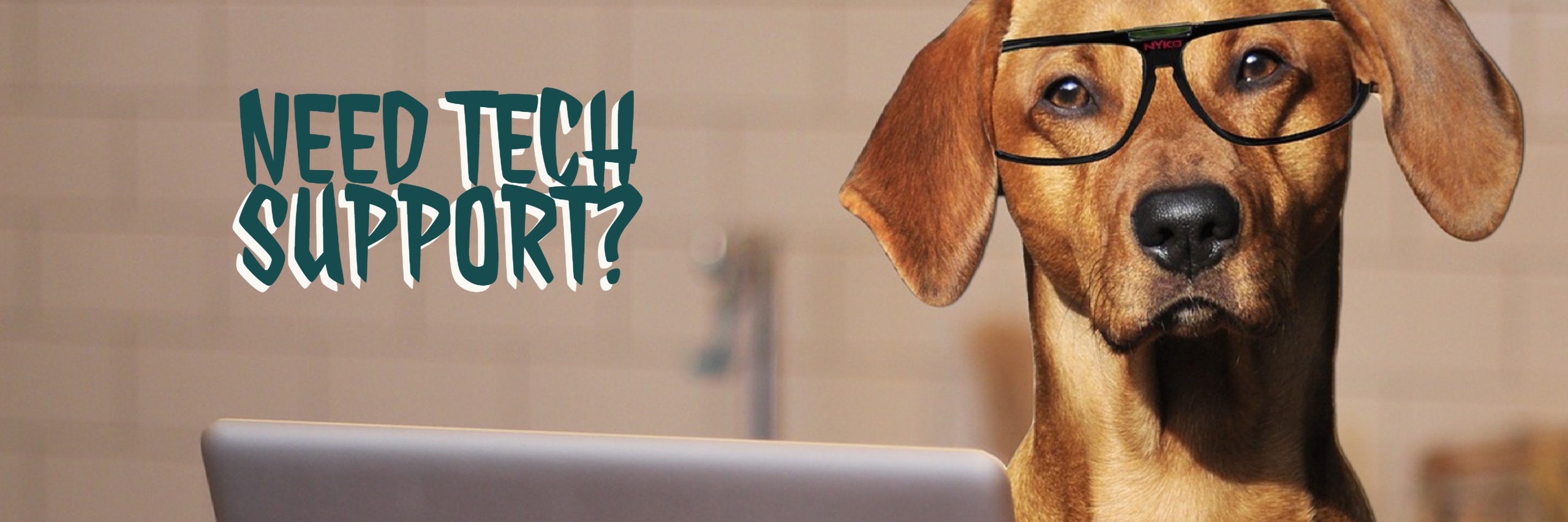 Tech Support Dog